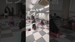 【ヨガ】初めてのBORN TO YOG。