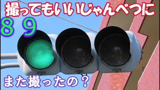 【交通信号機編89】なんであなた（うp主）は毎回旅先で小糸プロジェクターを撮るんですか…