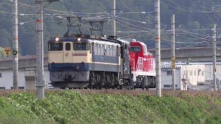 京葉臨海鉄道向け DD200-801 甲種輸送 (2021年6月8日)