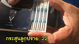 กระสุนลูกปราย .22 LR