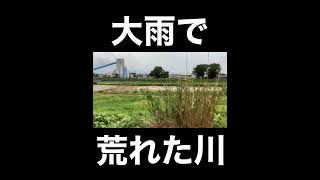 大雨で荒れた川#Shorts