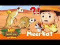 MEERKATS kehilangan RUMAH mereka?! 😱🏠 | Meerkat | Leo Si Penjaga Alam | Kartun Anak | Hewan