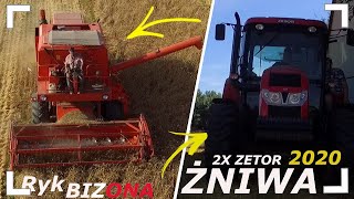 ☆Polskie Żniwa 2020 z Bizonem✔ 2x Zetor✔ RYK BIZONA ✔Taniec na przyczepie✔Podkarpacie☆