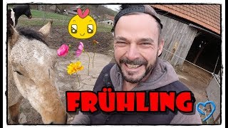 😱😱 Frühlingserwachen im Februar 😱😱 - FMA | Pferde Hoschi