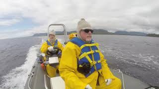 Zodiac Adventure In Alaska