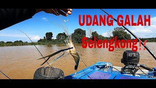 Henjutan UDANG GALAH‼️Sungguh Asik