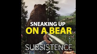 Sneaking Up On A Bear | Subsistence Gameplay | #shorts