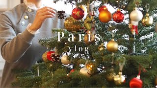 Family Christmas preparations | 2-year-old daughter first ice skating | Paris vlog