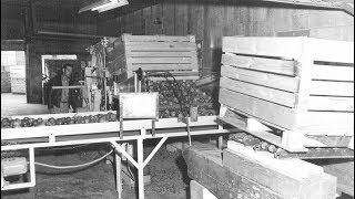 How Selah, Washington's Matson Fruit Was Established in 1908