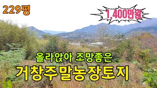 (NO-574)거창토지/조망좋고 조용한 소규모 주말농장용, 묘터토지229평(거창토지매매 거창주말농장용토지매매 거창묘터용토지매매)