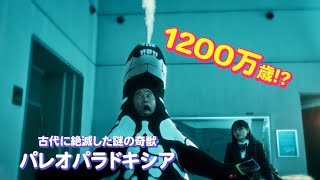 【岐阜県瑞浪市PR動画】「奇跡の化石」～30秒予告バージョン～