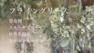 【フライングリース】雲龍柳/秋色紫陽花/スモークツリー【コメント欄のご質問にお答えします】