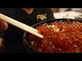 【鮭釣り！釣った鮭でイクラ丼】北海道稚内市！ねこスナフキン氏 日本最北端ユーチューバー と鮭釣りfishing of salmon in wakkanai city in hokkaido japan