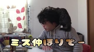 子猫成長記録の今後の予定について 【cute kitten】【cute cat】 【子猫保護】