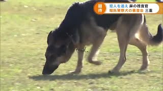 優れた嗅覚を活かし事件現場などで活躍へ　「嘱託警察犬」の審査会　三重県警 (21/11/16 17:23)