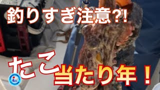 愛媛県松山市沖！タコ確変中！♯オフショア♯ジギング♯釣果