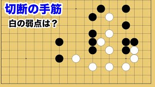 【１分囲碁講座】切断の手筋・白の泣きどころを突く一手は？【千本ノックの２６】