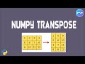 NumPy Transpose | What is NumPy Transpose? | Python | An IT Professional
