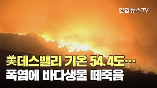 美데스밸리 기온 54.4도…폭염에 바다생물 떼죽음 / 연합뉴스TV (YonhapnewsTV)