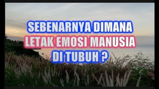 DISINILAH LETAK EMOSI MANUSIA - KAJIAN ILMU NEUROPSIKOLOGI