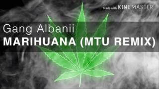 Gang Albanii- Marihuana Best Remix