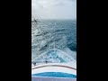 life at sea🌊 atlantic ocean @avijitsomvlogs