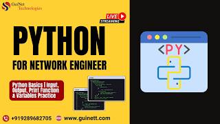 Python Basics | Input, Output, Print Function & Variables Practice