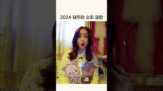 2024 돼지띠와 소띠 궁합, 서로 이해를 해주기 바란다 #shorts