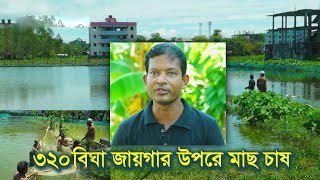 ৩২০ বিঘা জায়গার উপরে বিভিন্ন জাতের মাছের চাষ #Fish farming on 320 bighas of land#agribusiness bd