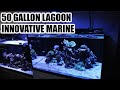 INNOVATIVE MARINE 50 GALLON LAGOON REVIEW AND OVERVIEW 2020