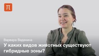 Гибридизация в природе — Варвара Веденина