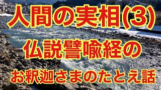 人間の実相のたとえ話について(3)