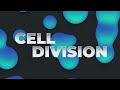 cell division for after effects