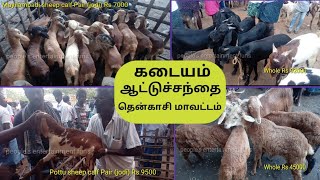 Kadayam Santhai || Monday Goat market || Tenkasi district