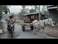 ঘোড়ার গাড়ি ।। horse carts ।। gora gari