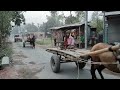 ঘোড়ার গাড়ি ।। horse carts ।। gora gari