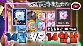 14클 암살 VS 14클 달!? 초고인물들의 싸움ㅋㅋㅋ 웅..장하다ㅋㅋㅋㅋㅋㅋㅋㅋㅋ [랜덤다이스]