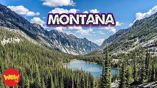 Listen, See and Think: Episode 408 (Montana)