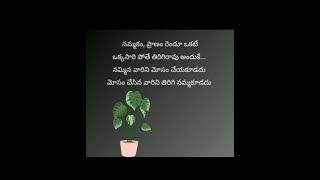 ఇది నిజం అవునంటారా కాదు అంటారా👌 దయచేసి like 💞👍