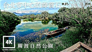 Taiwan Walk 台北關渡自然公園 Taipei Guandu Natural Park Asmr Amateur Ambience Flaneur Built Environment 台灣街景