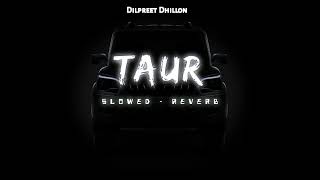 Taur - ( Slowed & Reverb ) | Dilpreet Dhillon