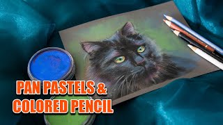 Black Cat PanPastel & Colored Pencil - Tutorial for Beginners