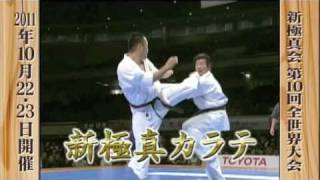 【新極真会】第10回全世界空手道選手権大会PV1