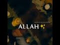 Hasbi rabbi jallallah mafi qalbi ghairullah Noor-e-Muhammad sallalla laailaha illallah Full video