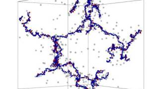 Molecular Dynamics Simulation of Polyelectrolyte Gel