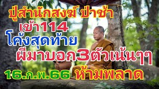 ปู่สำนักสงฆ์ ป่าช้า.เข้า114โค้งสุดท้าย.ผีมาบอกเลข3ตัวเน้นๆๆห้ามพลาด16.ก.พ.66