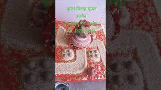 कुम्भ विवाह पूजन उज्जैन, pt शेखर गुरु उज्जैन मो 8871444063