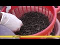 ugandan farmers benefit from using natural fertilisers