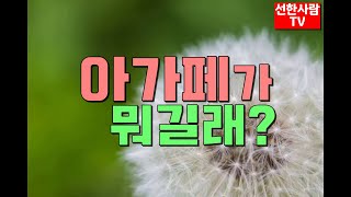 [선한사람TV] #292 아가페가 뭐길래? [한국품성교육원]