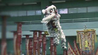 全港公開龍獅藝錦標賽2016 - 獅藝高樁陣組 (精華版)